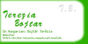 terezia bojtar business card